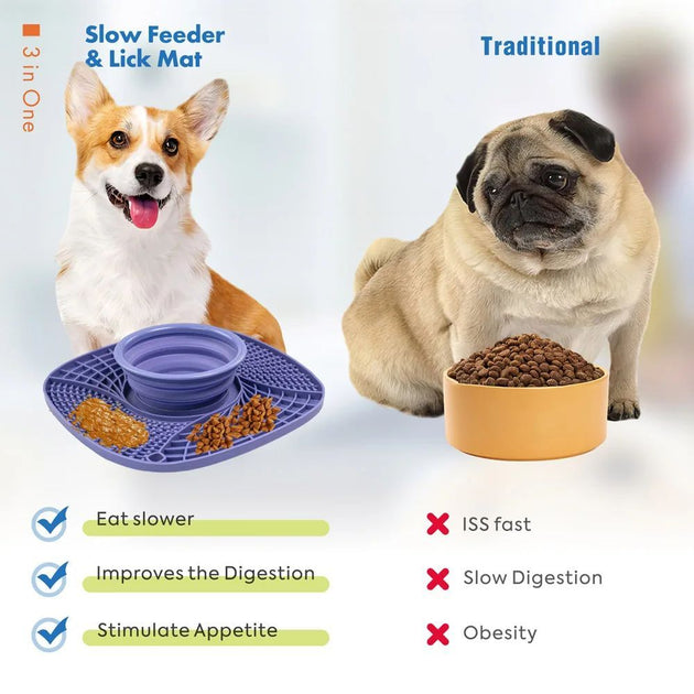 Pet  Slow Feeder Bowl Non Slip