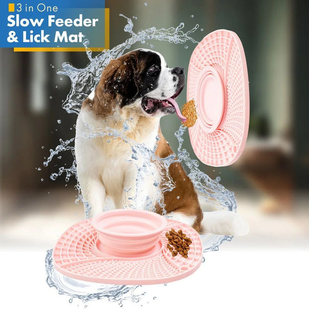 Pet  Slow Feeder Bowl Non Slip